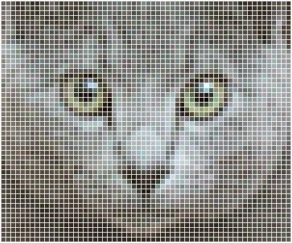 Gato ASCII